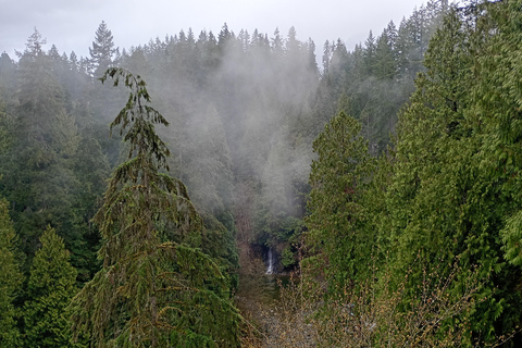 Vancouver Capilano Bridge,Stanley Park,City/CAR/Small Group