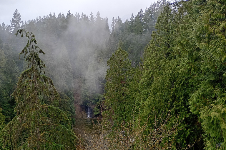 Vancouver Capilano Bridge,Stanley Park,City/CAR/Small Group