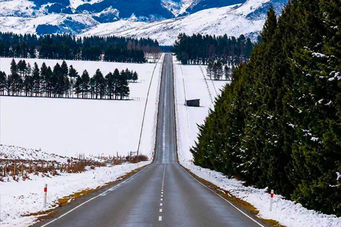 From Christchurch: Arthur's Pass Day Trip