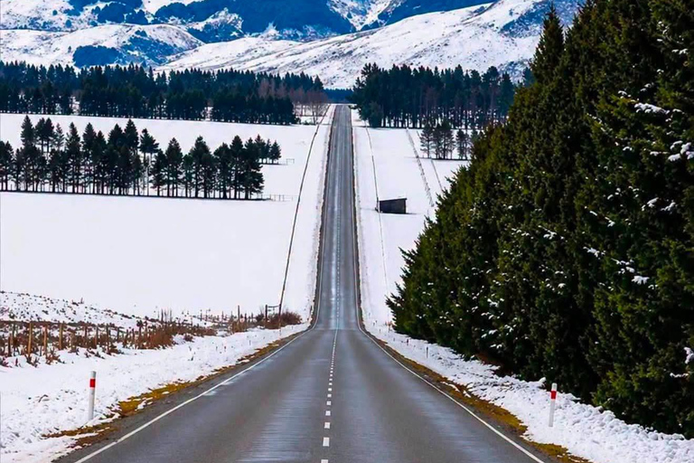 From Christchurch: Arthur's Pass Day Trip