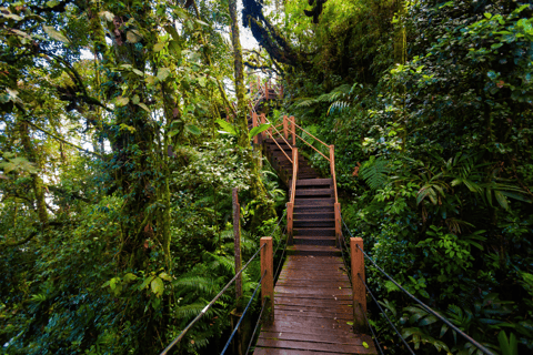 Kuala Lumpur: Excursão particular a Cameron Highlands e Batu Caves