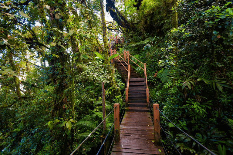 Kuala Lumpur: Cameron Highlands &amp; Batu Caves Wycieczka prywatna