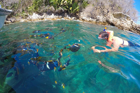 Tour in barca del paradiso e dello snorkeling di Yelapa + cibo -Vallarta