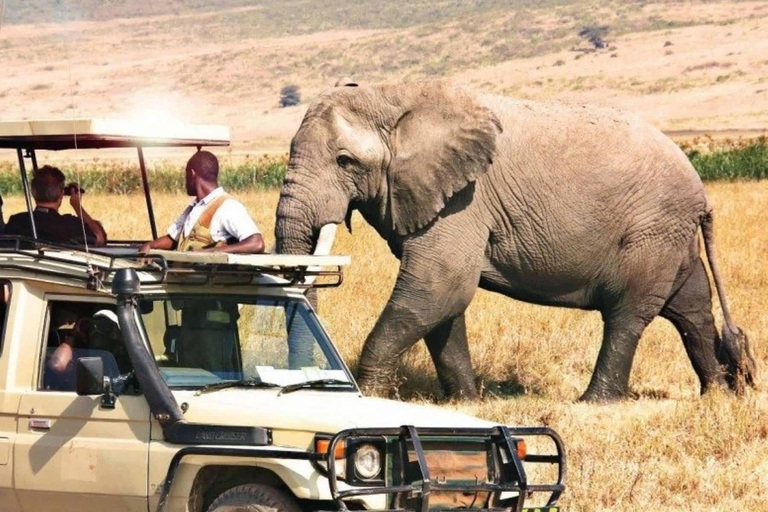 4 Days Private Midrange Safari from Zanzibar with Flights