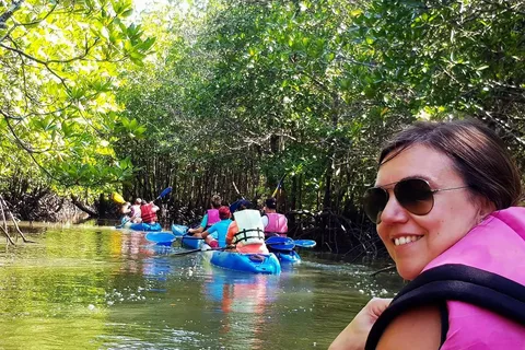 Half Day Mangrove Forest (Morning or Afternoon)