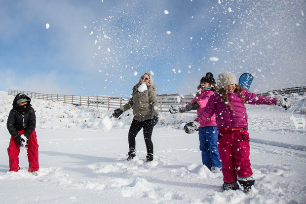 Queenstown: tour di 1 giorno a Snow Farm e al Lago Wanaka