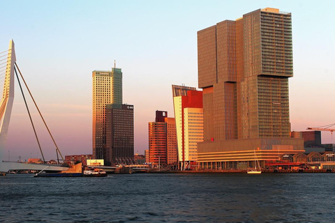 Ámsterdam: excursión de un día a Róterdam con guía local