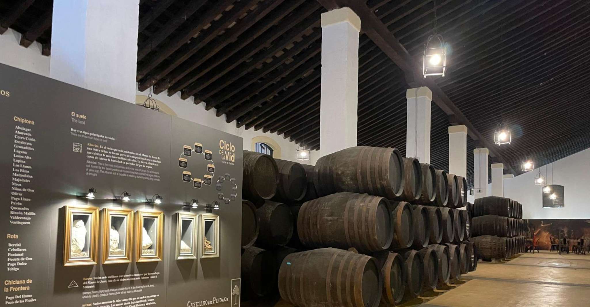 Jerez de la Frontera: Sherry Winery Tour with Tasting photo 4