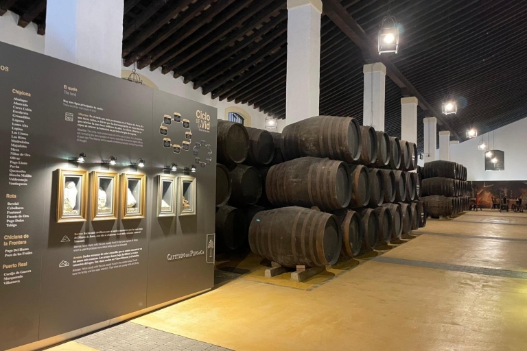 An a experience in a century old sherry winery