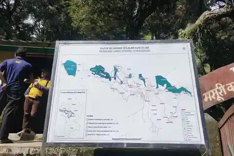 Hidden Gem of Mussoorie: Benog Hill Serenity Trek
