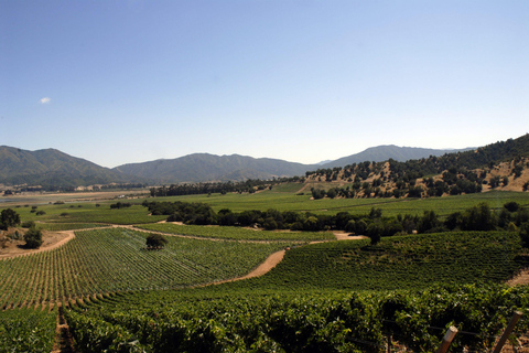 WINE TOUR - CASABLANCA VALLEY