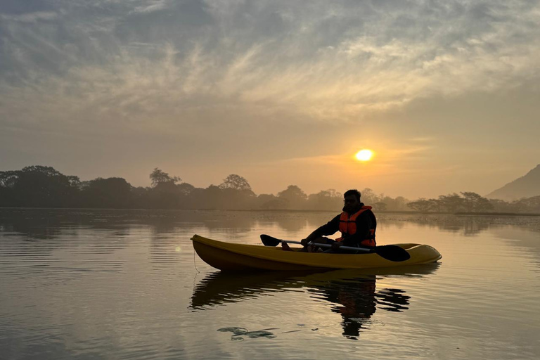 Sigiriya: Birdwatching Kayak Tour with Guide