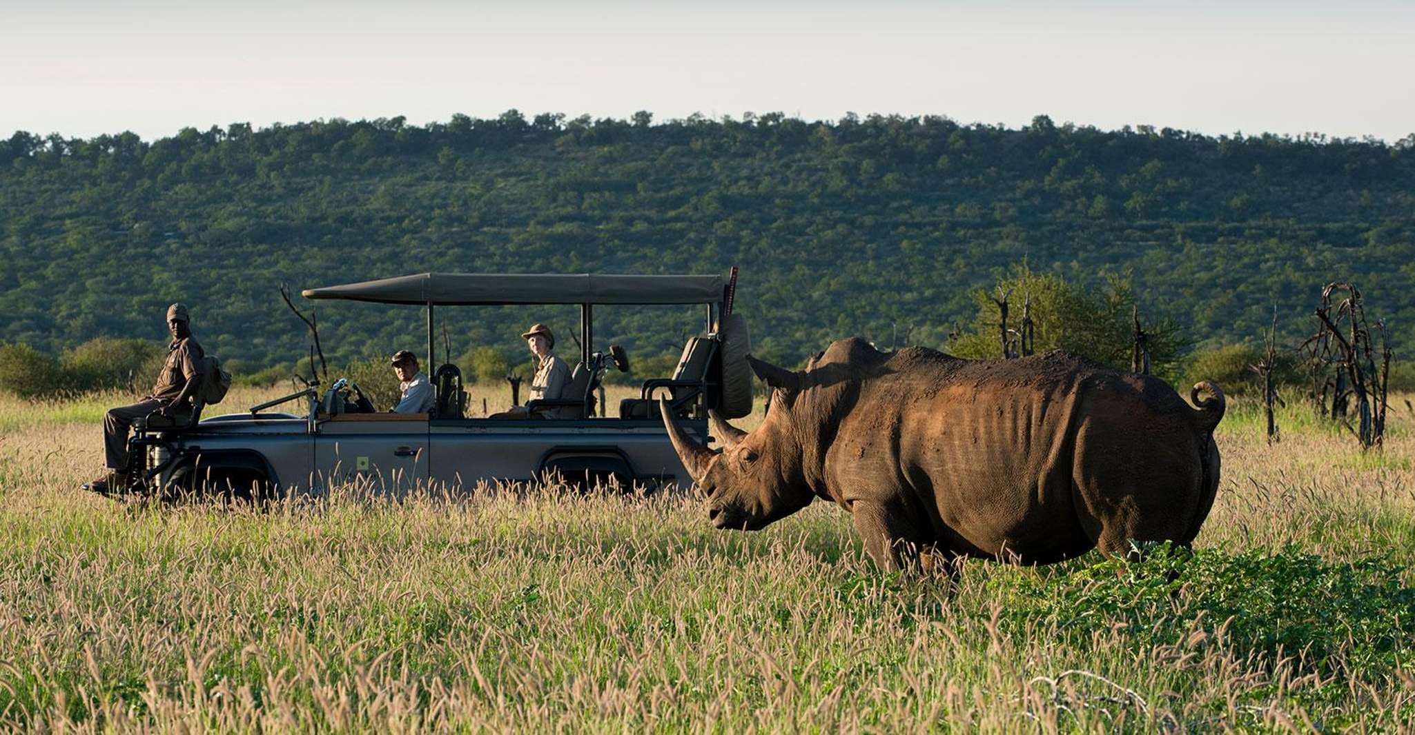 Madikwe Game Reserve 1 Night - Housity