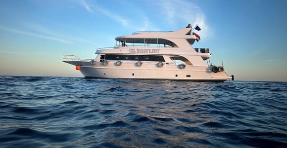 Sharm: Ras Mohamed & White Island Snorkeling Trip with Lunch