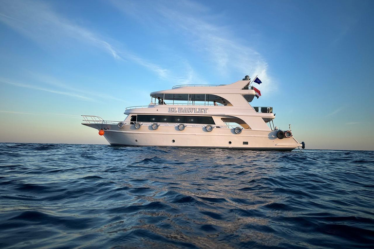 Sharm El Sheikh: Ras Mohamed & White Island Snorkeling trip