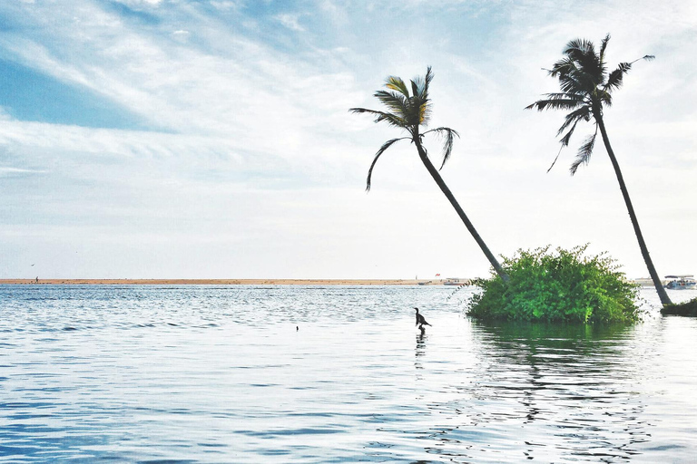 Z Kochi: 2-dniowa wycieczka na plażę Mararikulam