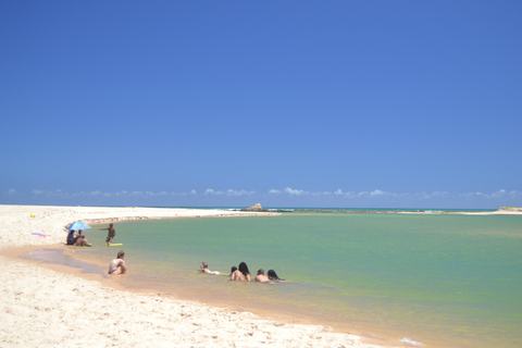 Salvador North Shore: Beach Hopping Tour to Praia do Forte