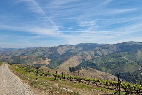 VALLEE DU DOURO : Visite guidée des vignobles, croisière et déjeuner dans un établissement vinicole.Visite privée