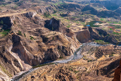 Arequipa: 1.5-Day City Tour and Colca Canyon+Puno (optional)