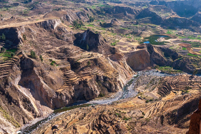 Arequipa: 1.5-Day City Tour and Colca Canyon+Puno (optional)