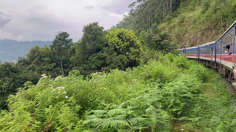 Exploring Kandy: Traveler's Guide to Easy Transit!