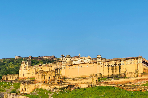 Jaipur: Half or Full-Day Sightseeing Tour with Guide+ Pickup Full Day Sightseeing Tour by Tuk- Tuk with Driver+ Pickup