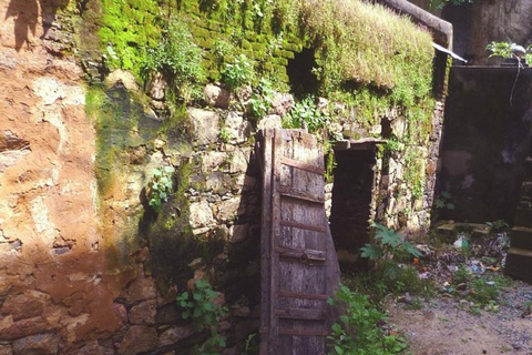 أودايبور: جولة لمدة 4 أيام في محطة جبل أبو هيلأودايبور: جولة لمدة 4 أيام في محطة جبل أبو