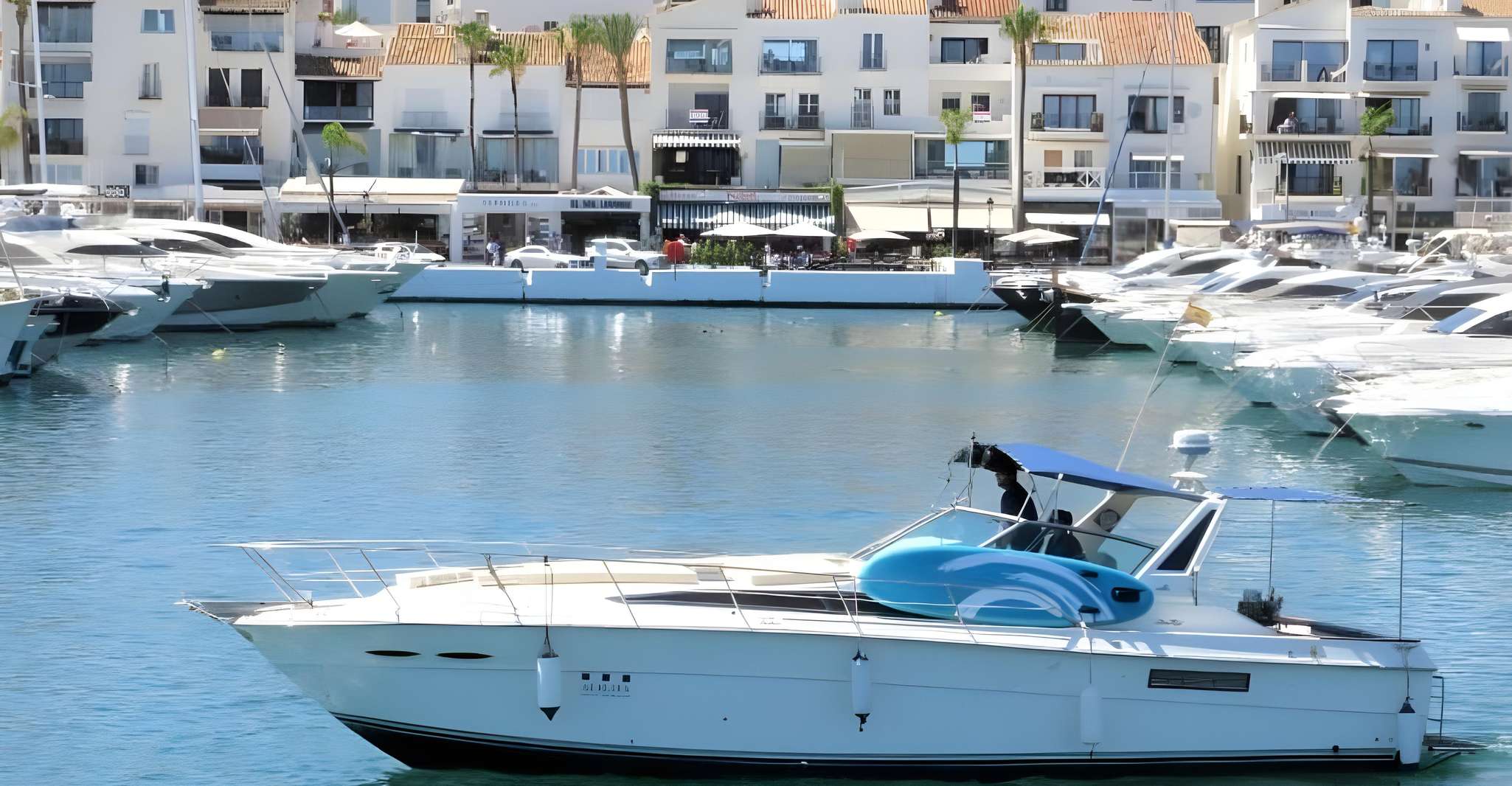 Paseo en yate con amplio solarium + avistamiento de delfines - Housity