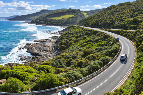 Melbourne: Great Ocean Road Tour, 12 Apostles & Apollo Bay Melbourne CBD Meeting Point (Max 50 guests)