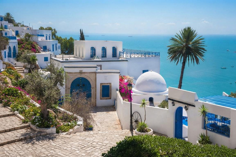 Tunis: An unforgettable day in Sidi Bou Said, Carthage, Bardo, and the Medina Private Tour with a Live Guide