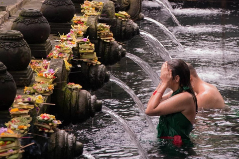 Visite privée d'ubud Terres de riz, temples et chutes d'eau secrètes