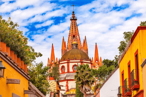 León: Safári fotográfico na região de Rincón com Box Lunch