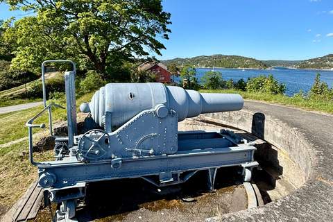 From Oslo: Drøbak and Oscarsborg Fortress Day Trip