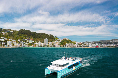 Wellington: eBike around the Harbour then Ferry back
