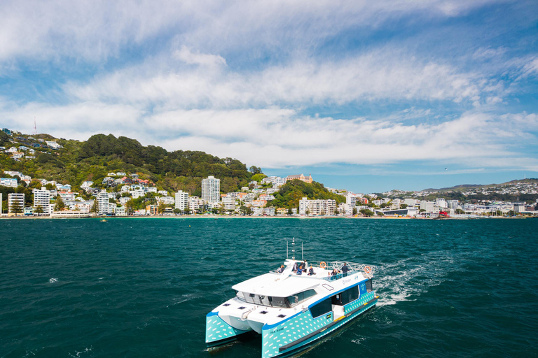Wellington: eBike around the Harbour then Ferry back