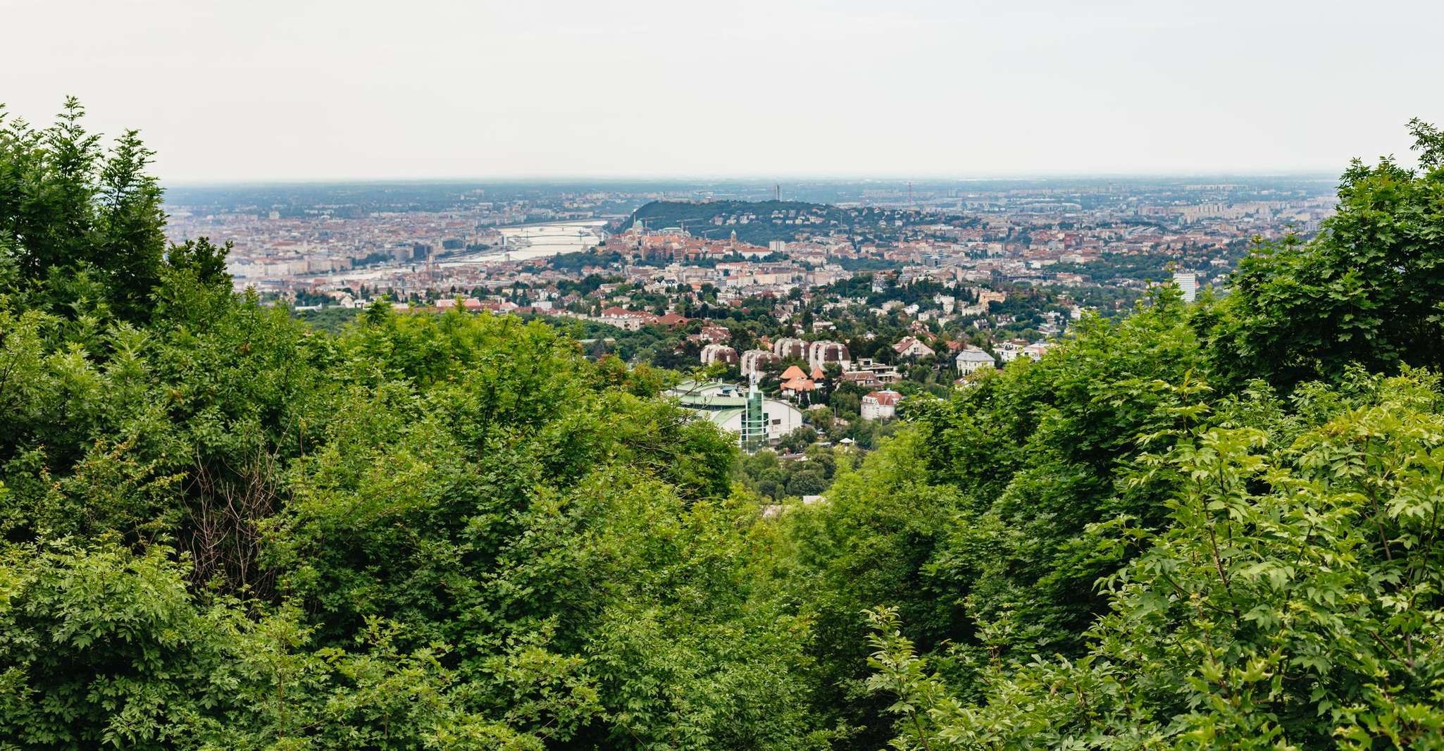 Budapest: Buda Hills Guided Hiking Tour with Optional Lunch photo 8