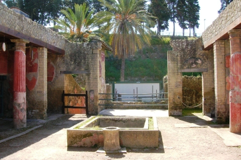 Herculaneum with an Archaelogical Guide & Ticket