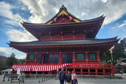 Tokyo: Nikko Private Day Trip with English Speaking Guide Tokyo or Nagoya: Nikko Private Day Trip with Guide