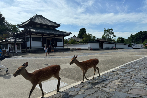 Nara: Ontdek elk stukje van de Tohdaiji-Tempel in 2 uur