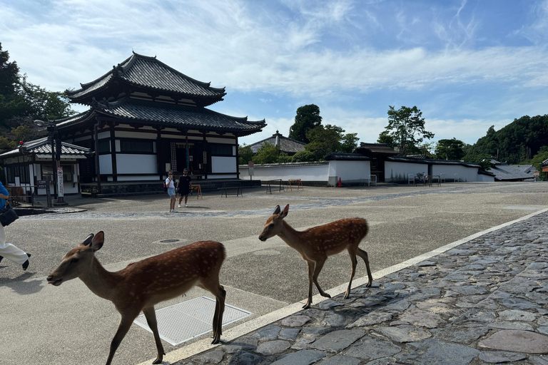 Nara: Todai-ji’s Great Buddha &amp; All Its Treasures in 2 Hours