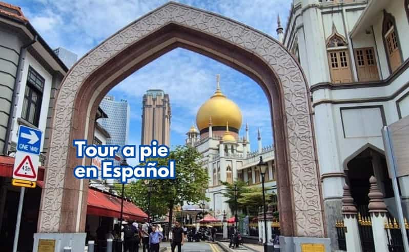 3h Chinatown, Little India,Arab Street SPANISH Walking Tour