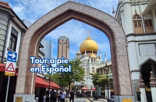 3-stündiger Rundgang durch Chinatown, Little India und die Arab Street auf Spanisch