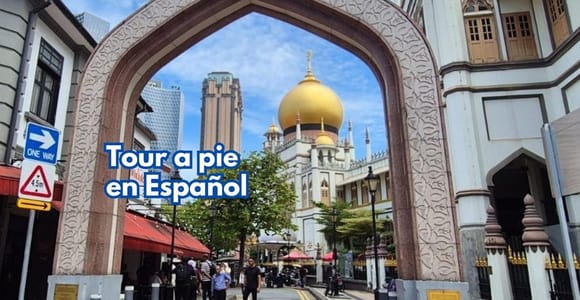 3h Chinatown, Little India,Arab Street SPANISH Walking Tour