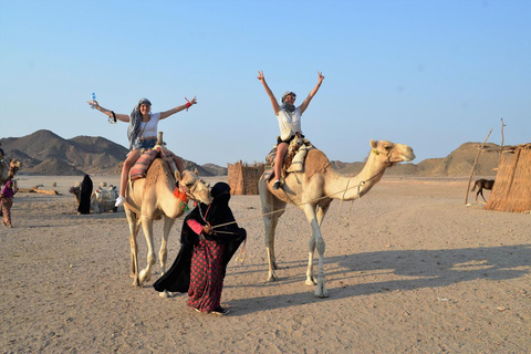 Hurghada: Camel Ride & horse ride and Off-Road Jeep Tour pickup from hotels inside hurghada