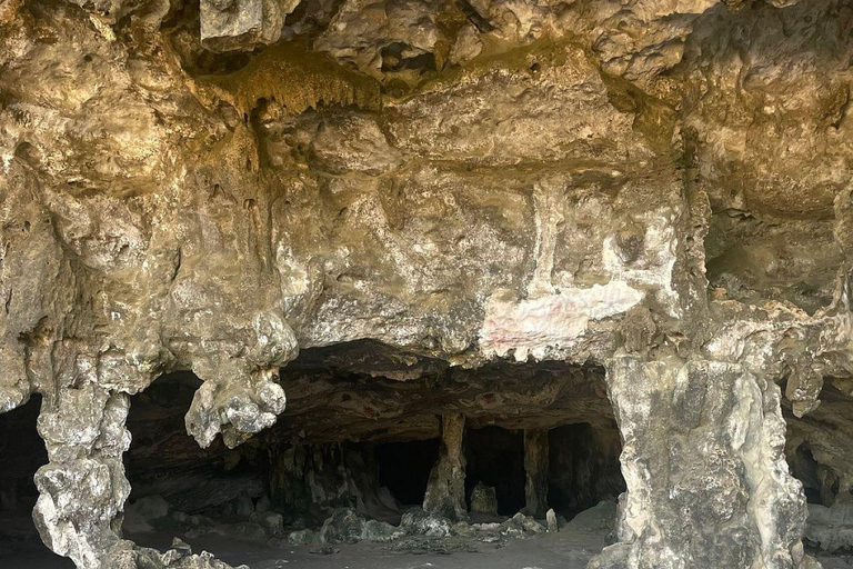 Aruba: Piscina naturale, grotte e avventura in jeep a Baby Beach