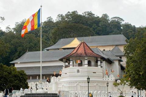 The Best Kandy Tuk-Tuk city Tour with a Professional Guide