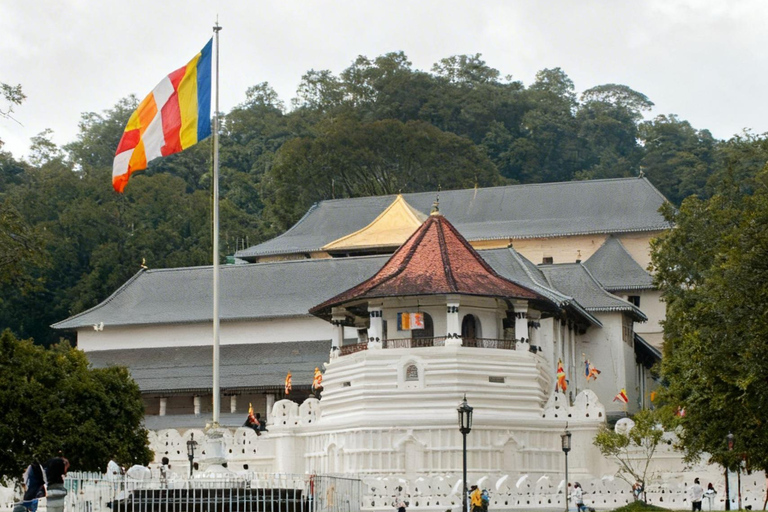 The Best Kandy Tuk-Tuk city Tour with a Professional Guide