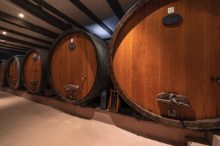 Alsace gourmande: visita alla cantina e degustazione di snack