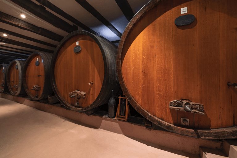 Alsace gourmande: Cellar visit and snack tasting