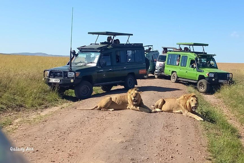 VIAGEM DE 1 DIA PARA O PARQUE NACIONAL DE AMBOSELI SAINDO DE NAIROBI, COM ORÇAMENTO LIMITADO.